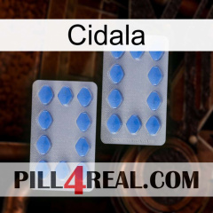 Cidala 20